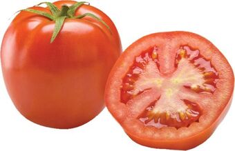 Tomate redondo
