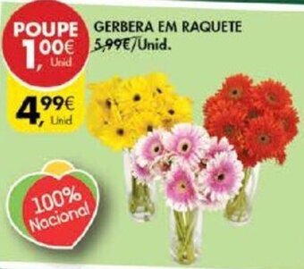 Pingo Doce Gerbera em Raquete promoção