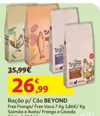 Auchan Ração cão purina beyond promoção