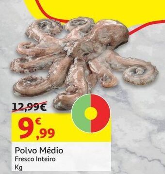 Auchan Polvo medio:fresco inteiro kg promoção