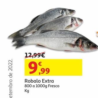 Auchan Robalo extra:800/1000 fresco kg promoção