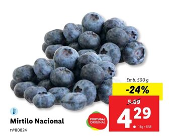 Lidl Mirtilo Nacional promoção