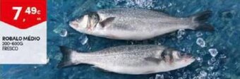 Continente Robalo Medio promoção