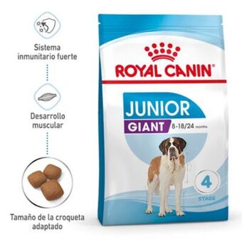 TiendAnimal Royal canin junior giant ração para cães promoção