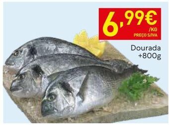Recheio Dourada promoção