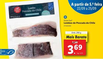 Lidl Peixe congelado ocean sea promoção