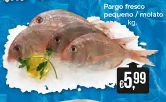 Bolama Pargo Pequeno/Mulato promoção