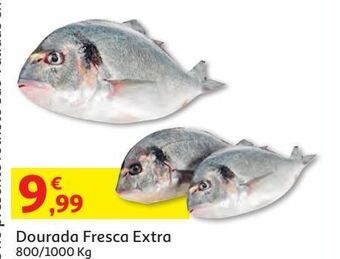 Auchan Dourada extra 800/1000 fresca kg promoção