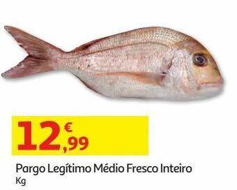Pargo legitimo medio fresco inteiro kg