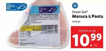 Lidl Peixe ocean sea promoção