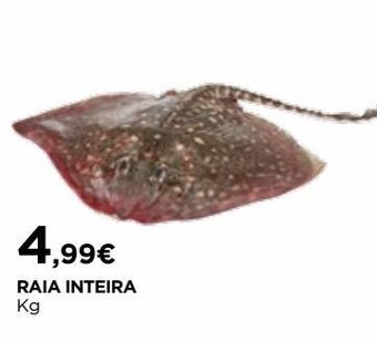 El Corte Inglés Peixe promoção