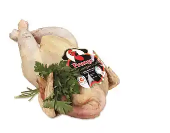 Frango campo