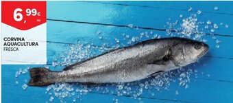 Continente Corvina Aquacultura 1kg promoção