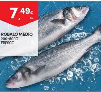Continente Robalo Medio 200-600g promoção