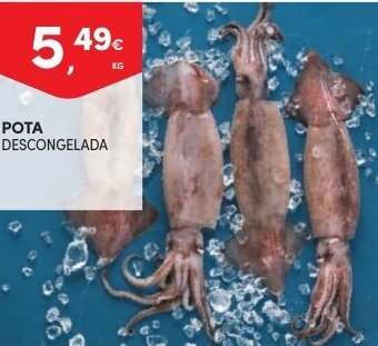 Continente Pota 1kg promoção