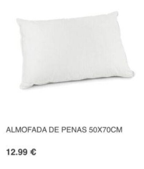 Hôma Almofada de Penas 60x70cm promoção