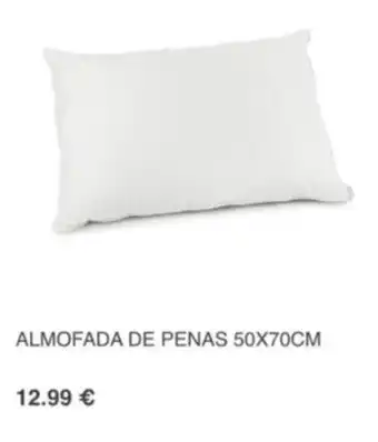 Almofada de Penas 60x70cm