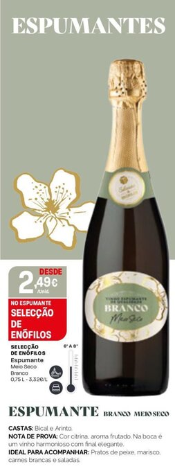 Intermarché Selecao de Enofilos Espumante 75cl promoção
