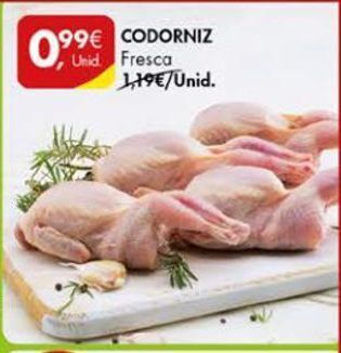 Codorniz