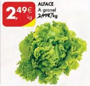 Pingo Doce Alface a granel 1kg promoção