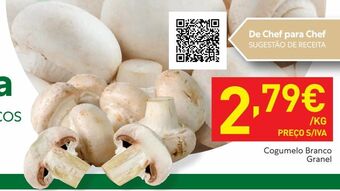 Recheio Cogumelos promoção