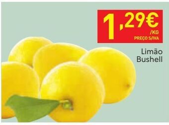 Recheio Limão promoção