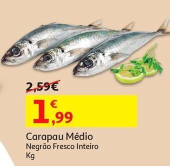Carapau médio negrão