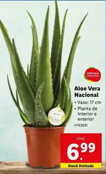 Lidl Aloe vera promoção