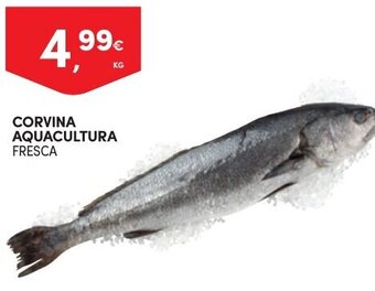 Continente Corvina Aquacultura 1kg promoção