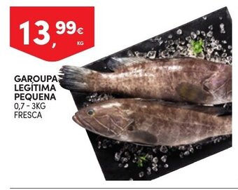 Continente Garoupa Legitima Pequena promoção