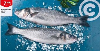 Continente Robalo Medio 200-600g promoção