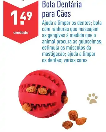 ALDI Bola Dentária para Cáes promoção