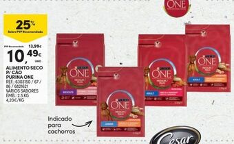 Continente Bom dia Ração para cães purinaone promoção