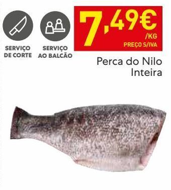 Recheio Peixe promoção