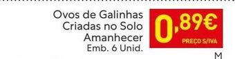 Recheio Ovos promoção