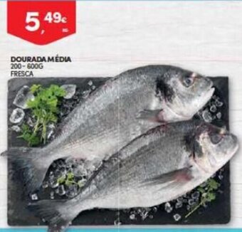 Continente Dourada Media 200-600g fresca promoção