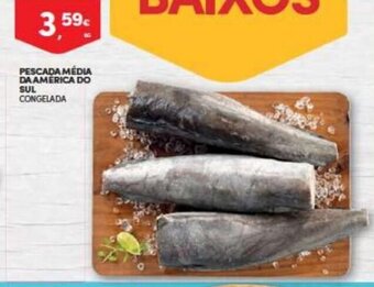 Continente Pescada Media Da Ameruca Do Sul promoção