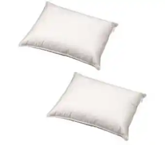 Pack 2 almofadas 70 cm viscoconfort