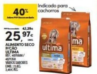 Continente Alimento seco p/ cao Ultima promoção