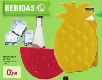 E.Leclerc Acumulador de Frio promoção