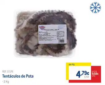 Makro Tentaculos de Pota 1kg promoção