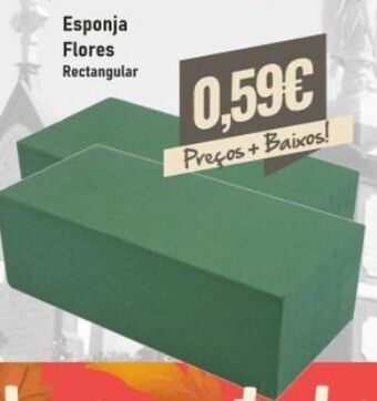 Esponja