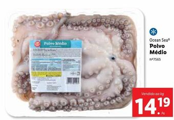Lidl Polvo ocean sea promoção