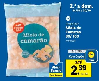 Lidl Camarão ocean sea promoção