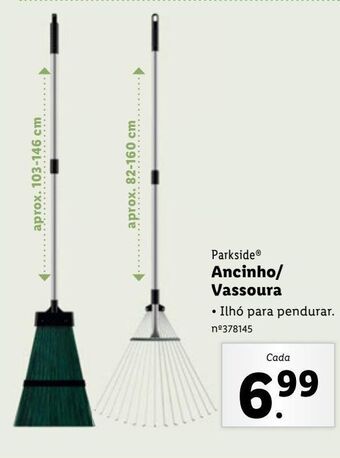 Lidl Vassoura parkside promoção