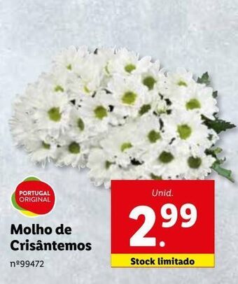 Lidl Plantas com flores promoção
