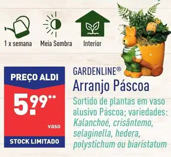 ALDI Arranjo Páscoa promoção