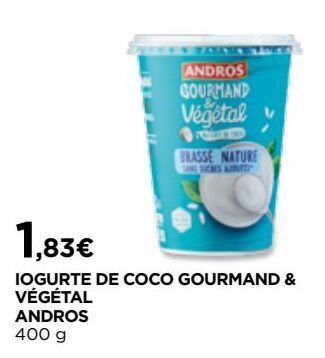 El Corte Inglés Iogurte andros promoção
