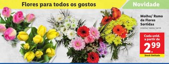 Lidl Molho/Ramo de Flores Sortidas promoção