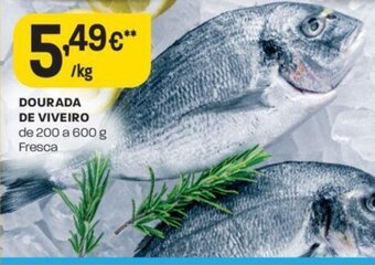 Intermarché Dourada De Viveiro promoção